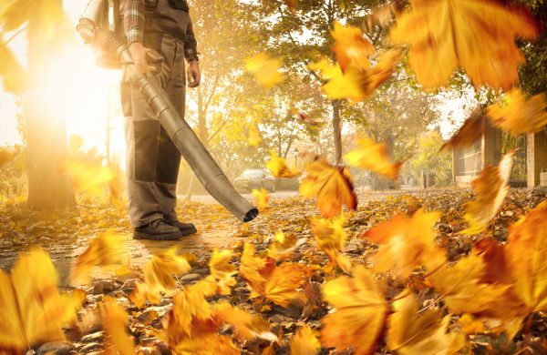 Cost of Leaf Blowing Service in Mcallen