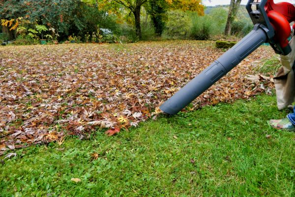 Cost of Leaf Vacuuming Service in Mcallen