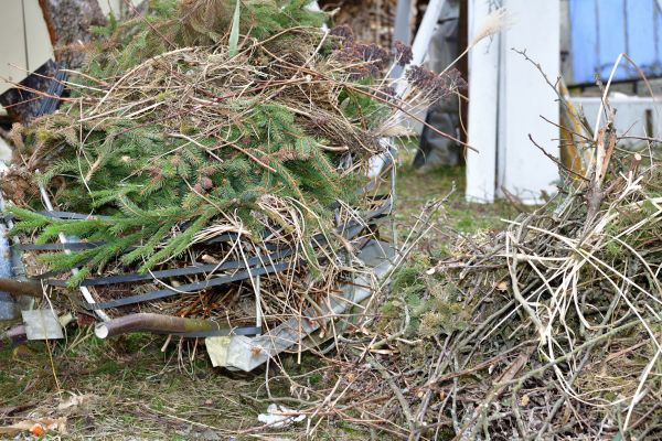 Cost of Yard Debris Removal in Mcallen
