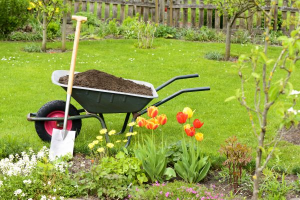 Cost of Spring Yard Cleanup in Mcallen