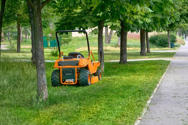 Cost of Landscaping Cleanup Service in Mcallen