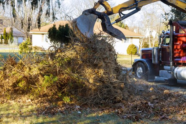 Cost of Storm Debris Removal in Mcallen