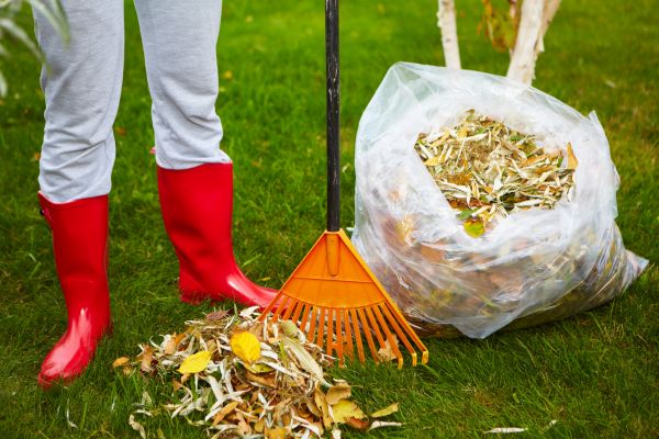 Cost of Leaf Disposal Service in Mcallen