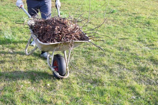 Cost of Yard Brush Removal in Mcallen