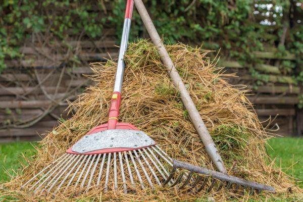 Cost of Pine Straw Clearing in Mcallen
