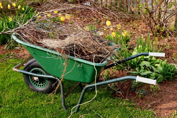 Cost of Lawn Waste Removal in Mcallen