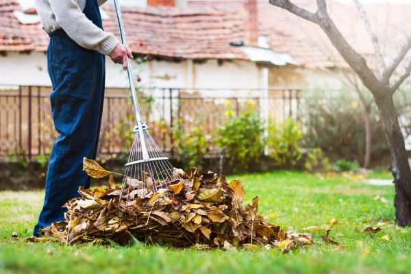 Cost of Fall Yard Cleanup Service in Mcallen