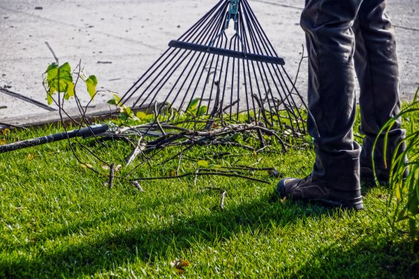 Cost of Yard Debris Cleanup in Mcallen