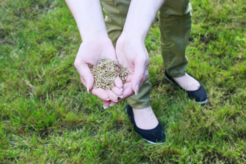 Healthy Lawn in Spring