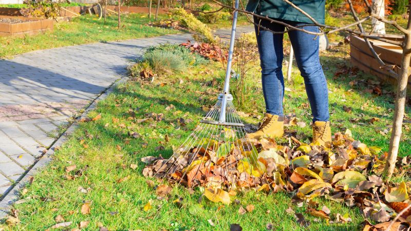 Leaf Raking