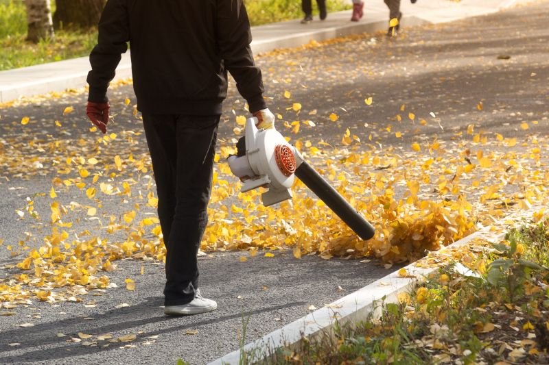 Leaf removal equipment in action