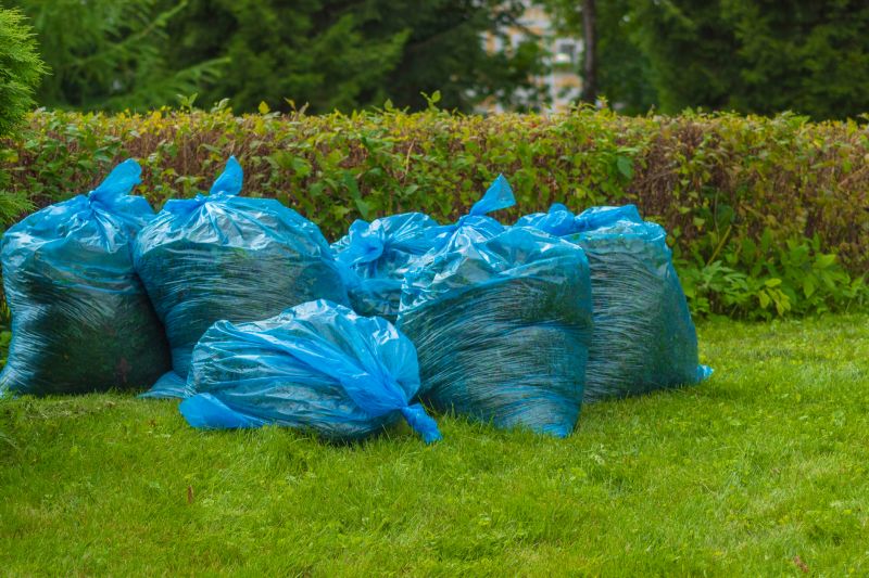 Lawn debris collection