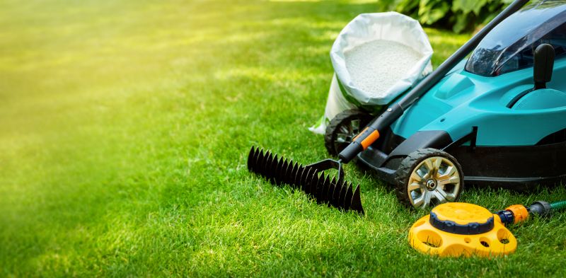 Seasonal Lawn Clean Up Timing